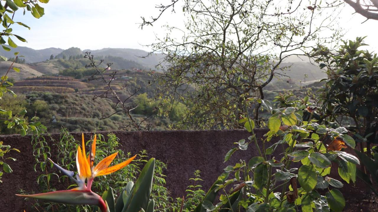 Casa Rural En San Mateo Las Palmas de Gran Canaria Esterno foto