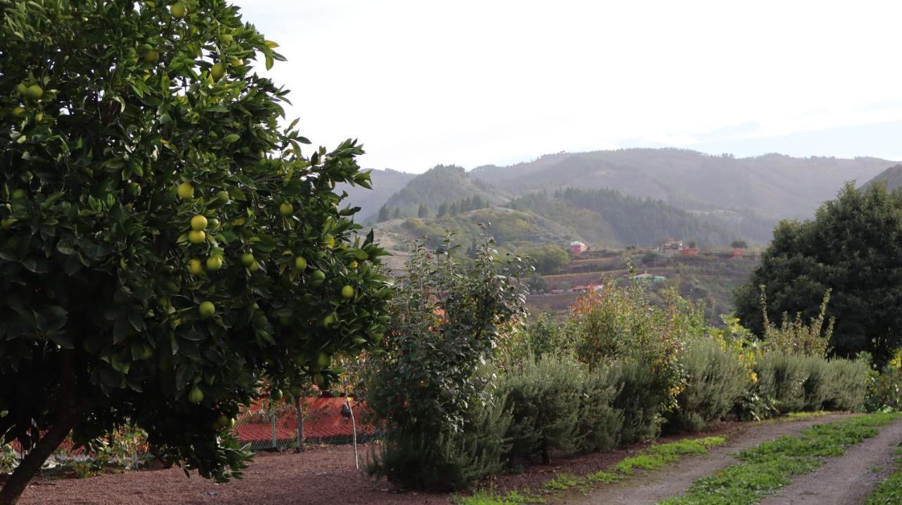Casa Rural En San Mateo Las Palmas de Gran Canaria Esterno foto