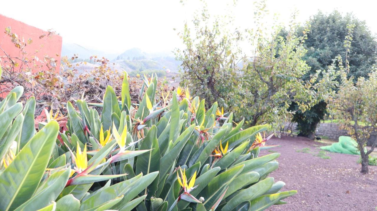 Casa Rural En San Mateo Las Palmas de Gran Canaria Esterno foto